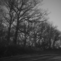 2022_03_Pinhole_087.jpg