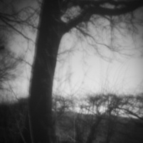 2022_03_Pinhole_065.jpg