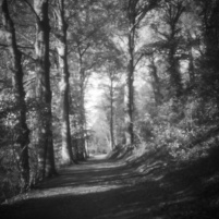 2022_11_Pinhole_229.jpg